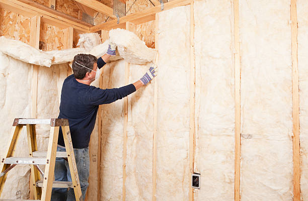  Lino Lakes, MN Insulation Removal & Installation Pros